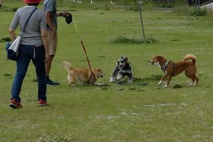 DSC_5073c.jpg
