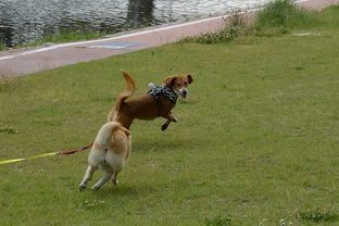 DSC_5087c.jpg