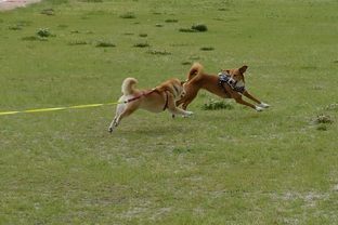DSC_5091c.jpg