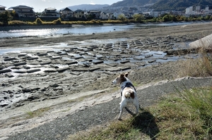 DSC_5143c.jpg