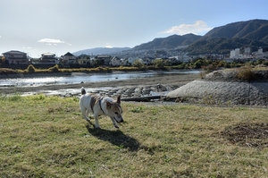 DSC_5146c.jpg