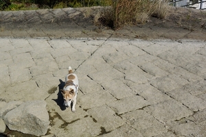 DSC_5152c.jpg