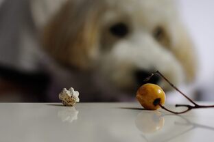 DSC_5160c.jpg