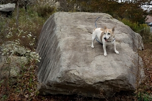 DSC_5225c.jpg