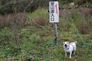 DSC_5231c.jpg