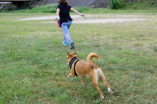 DSC_5242c.jpg