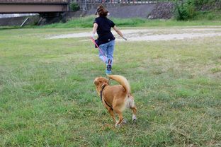 DSC_5243c.jpg