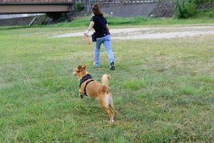 DSC_5244c.jpg