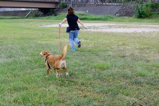 DSC_5245c.jpg