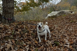 DSC_5267c.jpg