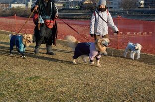 DSC_5310c.jpg