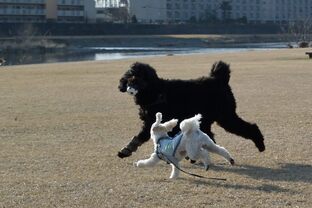 DSC_5338c.jpg