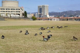 DSC_5349c.jpg