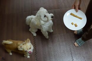 DSC_5369c.jpg
