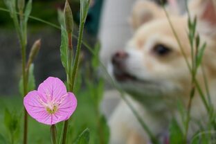 DSC_5385c.jpg
