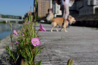 DSC_5396c.jpg