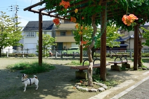 DSC_5396c.jpg