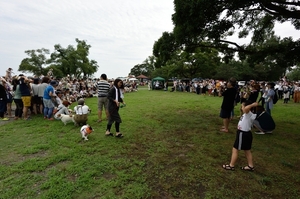 DSC_5434c.jpg