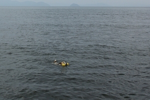 DSC_5483c.jpg