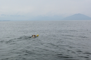DSC_5504c.jpg