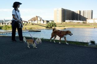 DSC_5563c.jpg