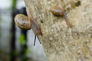 DSC_5565c.jpg
