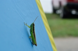 DSC_5566c.jpg