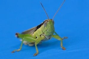 DSC_5569c.jpg