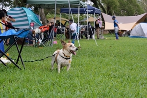 DSC_5572c.jpg
