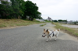 DSC_5578c.jpg
