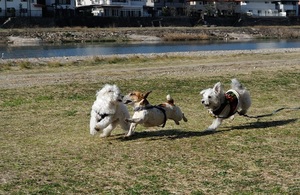 DSC_5601c.jpg