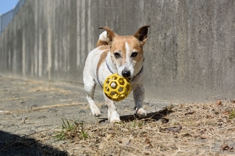 DSC_5632c.jpg