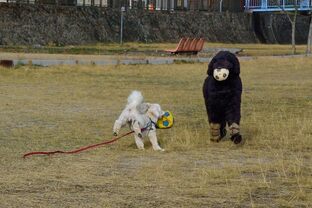 DSC_5648c.jpg
