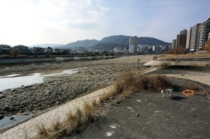 DSC_5700c.jpg