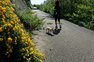 DSC_5759c.jpg