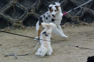 DSC_5797c.jpg