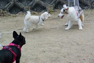 DSC_5804c.jpg