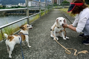 DSC_5870c.jpg