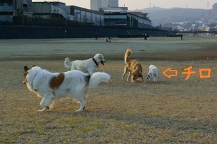 DSC_5897c.jpg