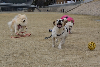 DSC_5899c.jpg