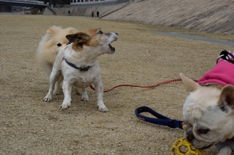 DSC_5910c.jpg