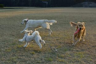 DSC_5911c.jpg