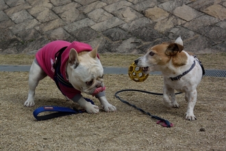 DSC_5914c.jpg