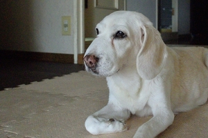 DSC_5918c.jpg