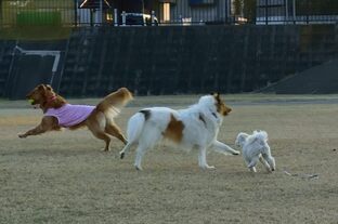 DSC_5928c.jpg