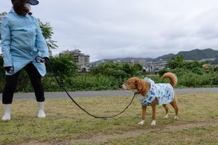 DSC_5941c.jpg
