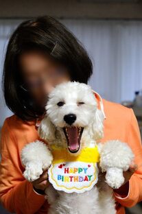 DSC_5977c.jpg