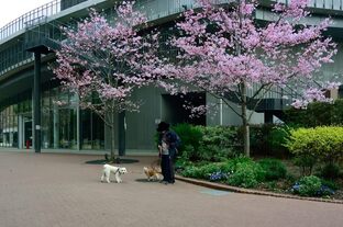 DSC_6059c.jpg