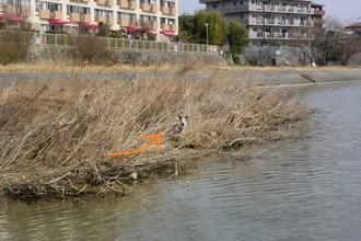 DSC_6105c.jpg