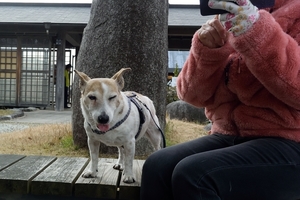 DSC_6116c.jpg